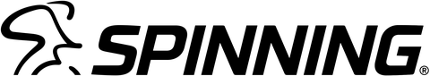 Logo Spinning