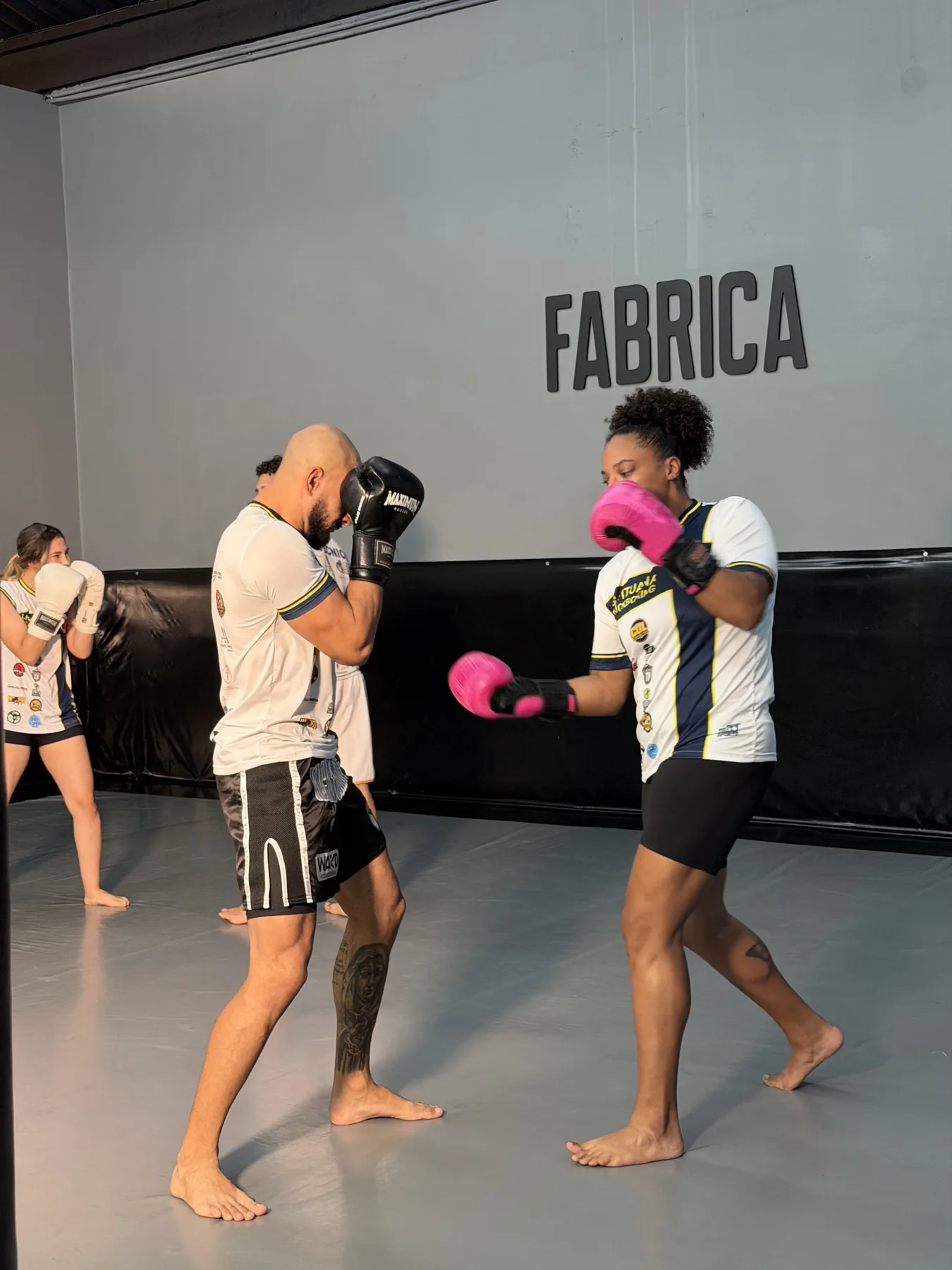 Aula de Boxe na Fábrica Academia